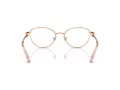 Swarovski SK 1002 4014 51 Women glasses