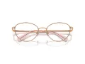 Swarovski SK 1002 4014 51 Women glasses