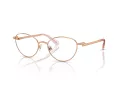 Swarovski SK 1002 4014 51 Women glasses
