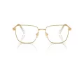 Swarovski SK 1003 4004 55 Women glasses