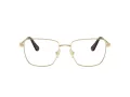 Swarovski SK 1003 4013 53 Women glasses
