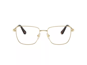 Swarovski SK 1003 4013 55 Women glasses