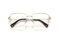 Swarovski SK 1003 4013 55 Women glasses