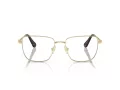 Swarovski SK 1003 4013 55 Women glasses