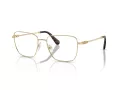 Swarovski SK 1003 4013 55 Women glasses