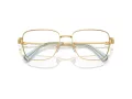 Swarovski SK 1003 4021 53 Women glasses