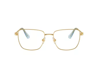Swarovski SK 1003 4021 55 Women glasses