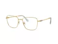 Swarovski SK 1003 4021 55 Women glasses