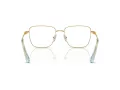 Swarovski SK 1003 4021 55 Women glasses