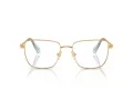 Swarovski SK 1003 4021 55 Women glasses