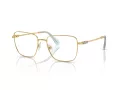 Swarovski SK 1003 4021 55 Women glasses