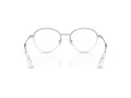 Swarovski SK 1004 4001 51 Women glasses
