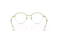 Swarovski SK 1004 4004 49 Women glasses