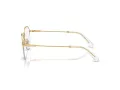 Swarovski SK 1004 4004 49 Women glasses
