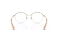 Swarovski SK 1004 4013 51 Women glasses