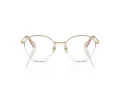 Swarovski SK 1004 4013 51 Women glasses