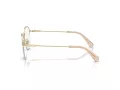 Swarovski SK 1004 4013 51 Women glasses