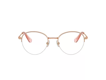 Swarovski SK 1004 4014 51 Women glasses