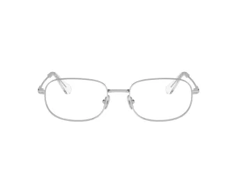 Swarovski SK 1005 4001 52 Women glasses