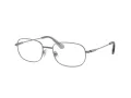 Swarovski SK 1005 4009 52 Women glasses