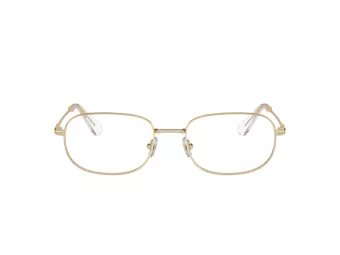 Swarovski SK 1005 4013 54 Women glasses
