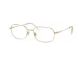 Swarovski SK 1005 4013 54 Women glasses