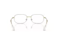 Swarovski SK 1005 4013 54 Women glasses