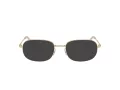 Swarovski SK 1005 4013 54 Women glasses