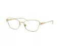 Swarovski SK 1006 4013 55 Women glasses