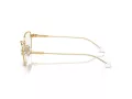 Swarovski SK 1006 4013 55 Women glasses