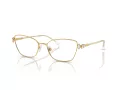 Swarovski SK 1006 4013 55 Women glasses