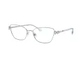 Swarovski SK 1006 4020 53 Women glasses