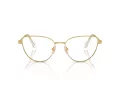 Swarovski SK 1007 4004 53 Women glasses
