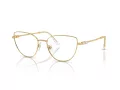 Swarovski SK 1007 4004 53 Women glasses