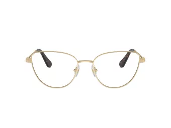 Swarovski SK 1007 4013 53 Women glasses