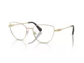 Swarovski SK 1007 4013 53 Women glasses