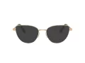 Swarovski SK 1007 4013 53 Women glasses