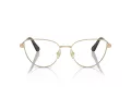 Swarovski SK 1007 4013 55 Women glasses