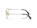 Swarovski SK 1007 4013 55 Women glasses