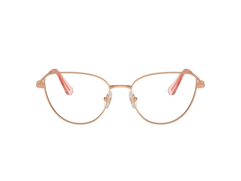 Swarovski SK 1007 4014 53 Women glasses
