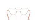 Swarovski SK 1007 4014 53 Women glasses