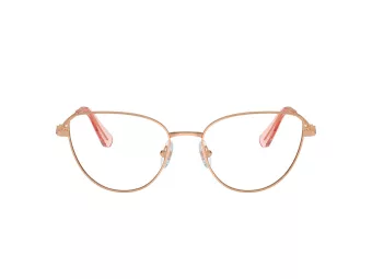 Swarovski SK 1007 4014 55 Women glasses