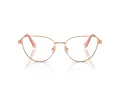 Swarovski SK 1007 4014 55 Women glasses