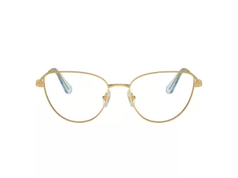 Swarovski SK 1007 4021 53 Women glasses