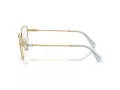 Swarovski SK 1007 4021 53 Women glasses