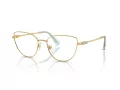Swarovski SK 1007 4021 53 Women glasses