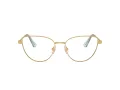 Swarovski SK 1007 4021 55 Women glasses