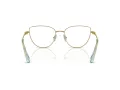 Swarovski SK 1007 4021 55 Women glasses