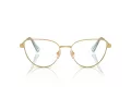 Swarovski SK 1007 4021 55 Women glasses