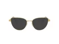 Swarovski SK 1007 4021 55 Women glasses